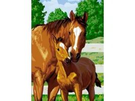 obraz-malowanie-po-numerach-rama-40x50cm-uroczy-zrebak