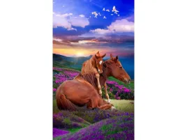 obraz-malowanie-po-numerach-rama-40x50cm-dwa-konie-gory
