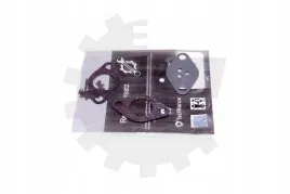 zestaw-naprawczy-zaworu-egr-alfa-romeo-lancia-skv