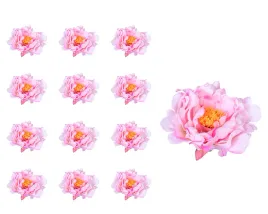 peonia-glowka-kremowo-rozowy-12-sztuk