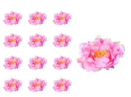 peonia-glowka-rozowy-12-sztuk