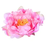 peonia-glowka-rozowa