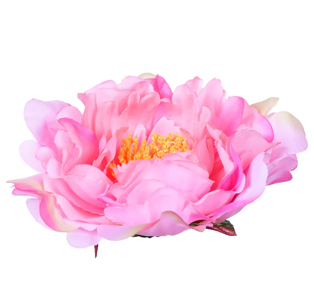 peonia-glowka-rozowa