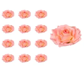 roza-glowka-sonia-rozowa-12-sztuk