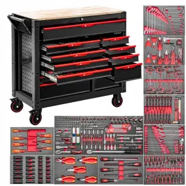 wozek-narzedziowy-z-wyposazeniem-360-elementow