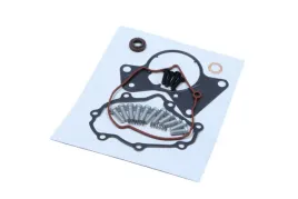 zestaw-napr-pompy-prozniowej-vw-transporter-25tdi-03-27-2014-maxgear