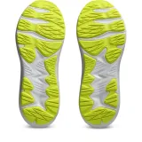 1014a300020-marka-asics