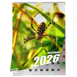 kalendarz-a4-pajak-13-stronny-zaznaczone-swieta-scienny