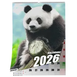 kalendarz-a4-panda-13-stronny-zaznaczone-swieta-scienny