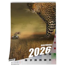 kalendarz-a4-safari-13-stronny-zaznaczone-swieta-scienny