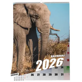 kalendarz-a4-slon-13-stronny-zaznaczone-swieta-scienny
