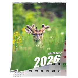 kalendarz-a4-lowiectwo-13-stronny-zaznaczone-swieta-scienny