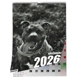 kalendarz-a3-pitbull-13-stronny-zaznaczone-swieta-scienny