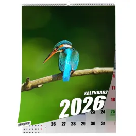 kalendarz-a3-ptaki-13-stronny-zaznaczone-swieta-scienny