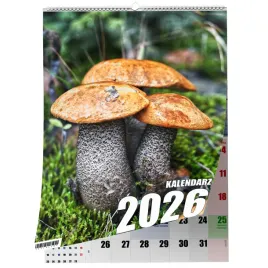 kalendarz-a3-grzyby-13-stronny-zaznaczone-swieta-scienny