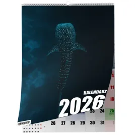 kalendarz-a3-rekin-13-stronny-zaznaczone-swieta-scienny