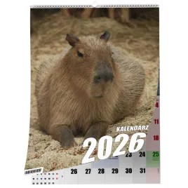 kalendarz-a3-kapibara-13-stronny-zaznaczone-swieta-scienny