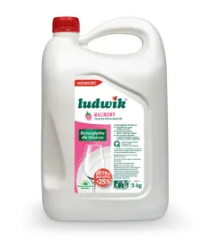 ludwik-plyn-do-mycia-naczyn-zapas-malinowy-5-l