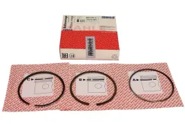 mahle-pierscienie-tlokowe-ford-focus-20tdci-10-std