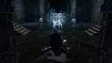 hell-is-us-pl-ps5-tryb-gry-singleplayer