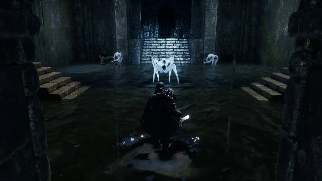 hell-is-us-pl-ps5-stan-nowy