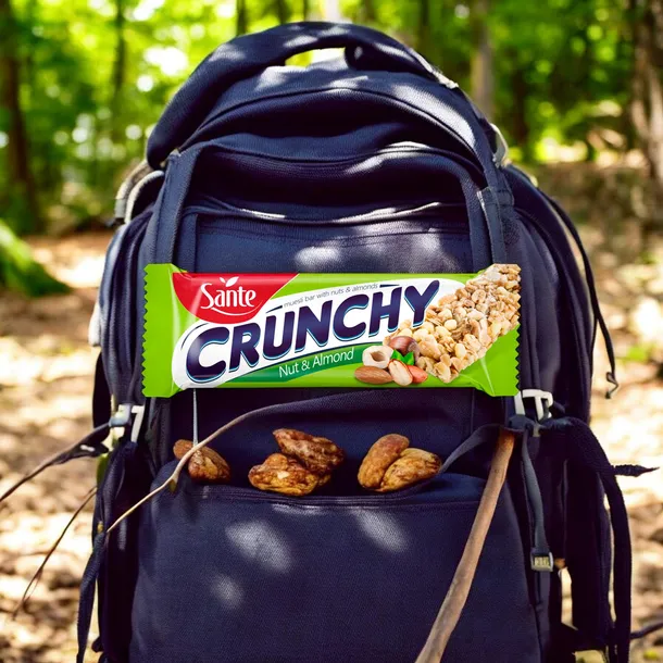 sante-baton-crunchy-35g