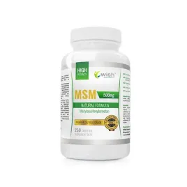 wish-pharmaceutical-msm-500mg-250tabs
