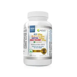 wish-pharmaceutical-modulator-forte-120caps