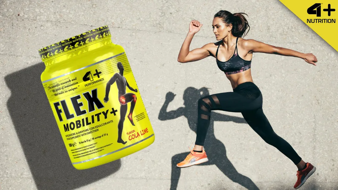 4-nutrition-flex-mobility-500g