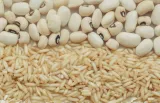 olimp-veggie-protein-complex-500g