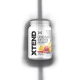 xtend-xtend-bcaa-1320g