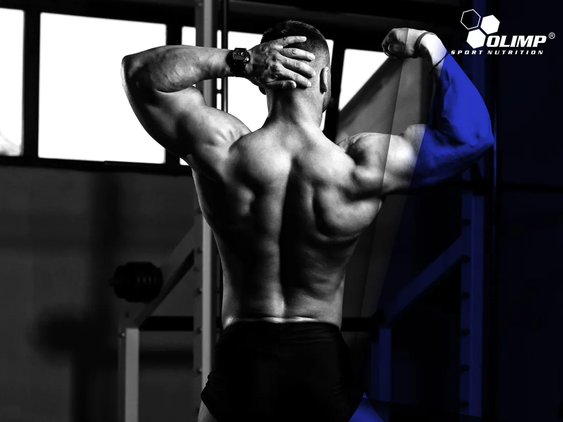 olimp-creatine-xplode-powder-260g
