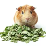 koniczyna-80g-herbal-pets-stan-nowy