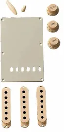 fender-0991368000-aged-white-accesory-kit-strat
