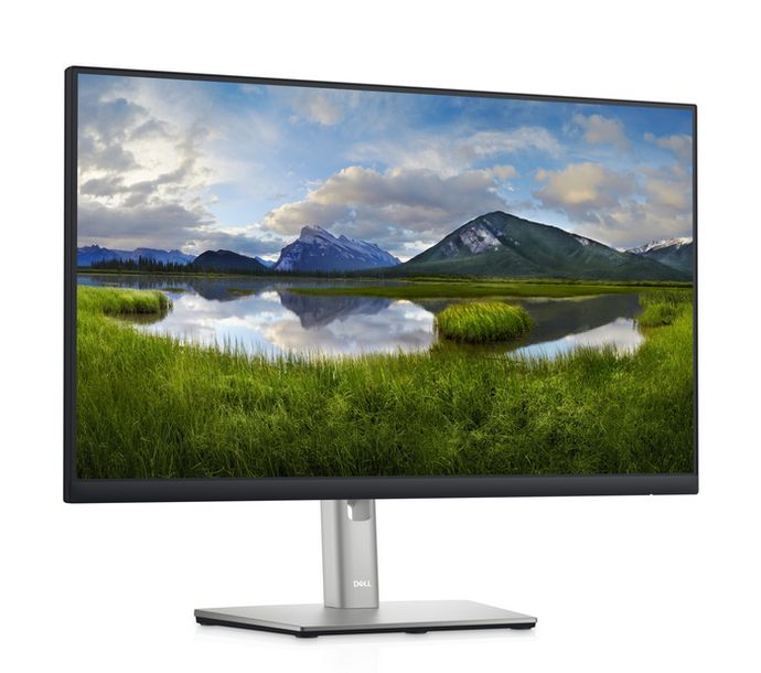 Profesjonalny monitor LED Dell P2422HE 23,8 " 1920 x 1080