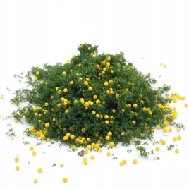 posypka-z-owocami-liscie-drzew-listowie-zielen-na-makiete-20g-0937