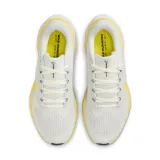 w-air-zoom-pegasus-kod-producenta-fd2723111