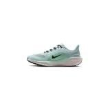 air-zoom-pegasus-marka-nike