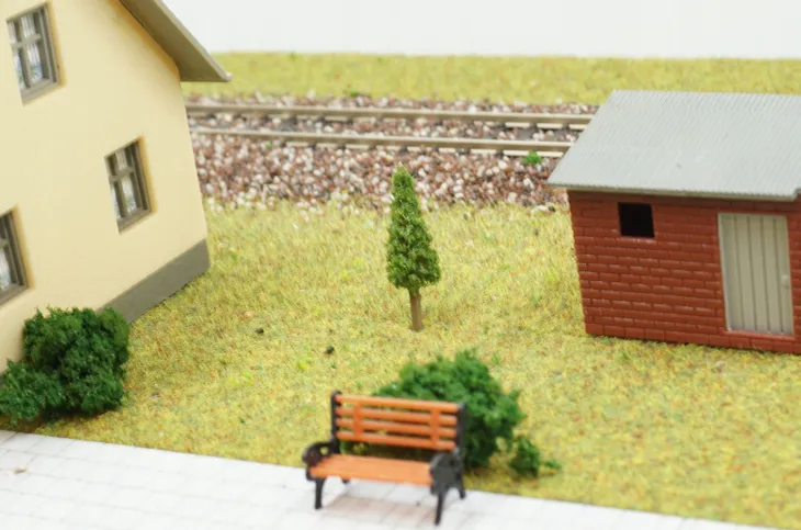 drzewo-iglaste-35