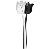 tulipano