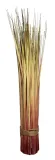 trawa-w-wiazce-83cm