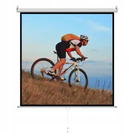 art-ekran-reczny-polautomat-1-1-178x178cm-ms-70