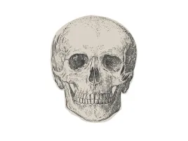 serwetki-papierowe-czacha-16-x-16-cm-16-szt