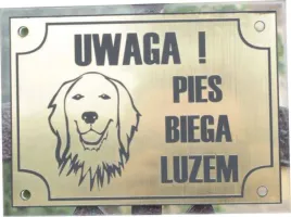 tabliczka-zly-pies-grawerowana-zlota-plexi-hit