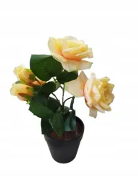 bukiet-kwiatow-w-doniczce-28-cm-roze-d1839