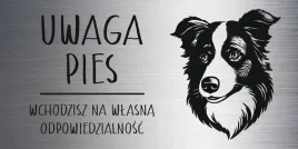 tabliczka-laminat-20x10-cm-uwaga-pies-border-collie-z-grawerem