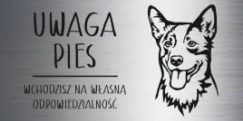 tabliczka-laminat-20x10-cm-uwaga-pies-austaralian-cattle-dog-z-grawerem