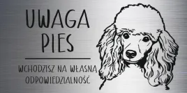 tabliczka-laminat-20x10-cm-uwaga-pies-pudel-z-grawerem