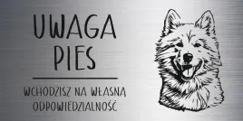 tabliczka-20x10-cm-uwaga-pies-samoyed-laminat-z-grawerem