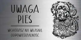 tabliczka-20x10-cm-uwaga-pies-nowofundland-laminat-z-grawerem